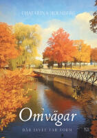 Chatarina Holmberg: 'Omvägar'